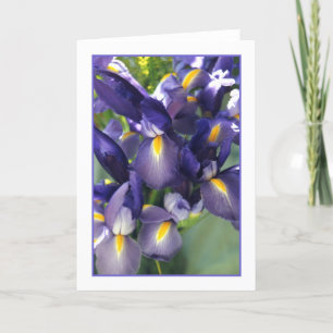 Ballet Iris Photo Greeting Card. Card
