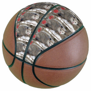 Ballon De Basket Basket-ball Opossum Nature