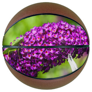 Ballon De Basket énergie de la sauterelle