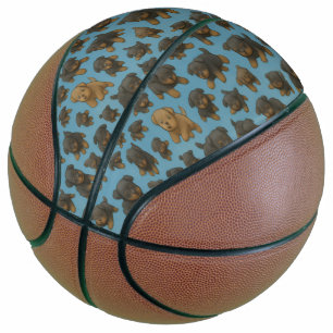 Ballon De Basket Folie de Rottweiler