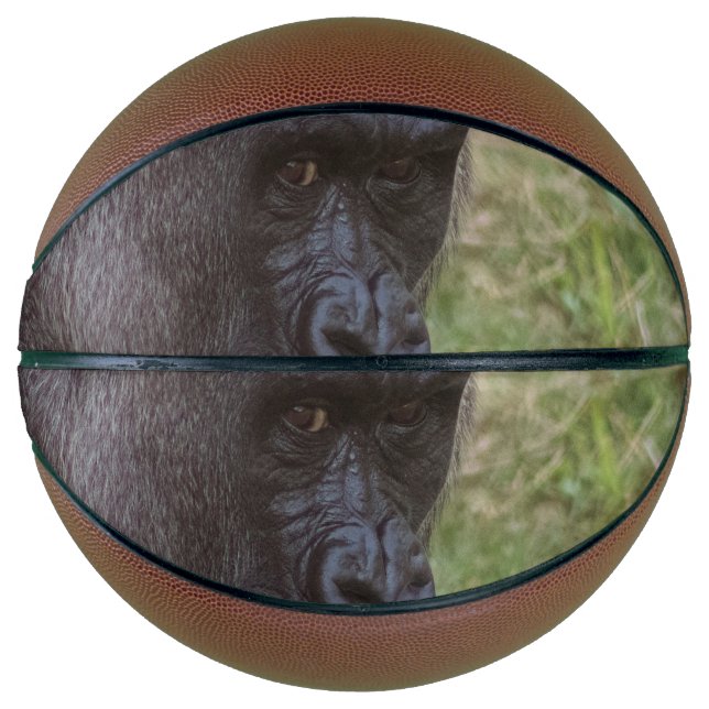 Ballon De Basket Gorilla (Devant)