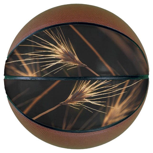 Ballon De Basket Herbe Sauvage À Courte Éclatement Unique (Devant)