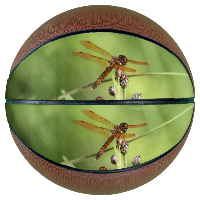 Ballon De Basket libellule (Devant)