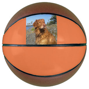 Ballon De Basket mouillé