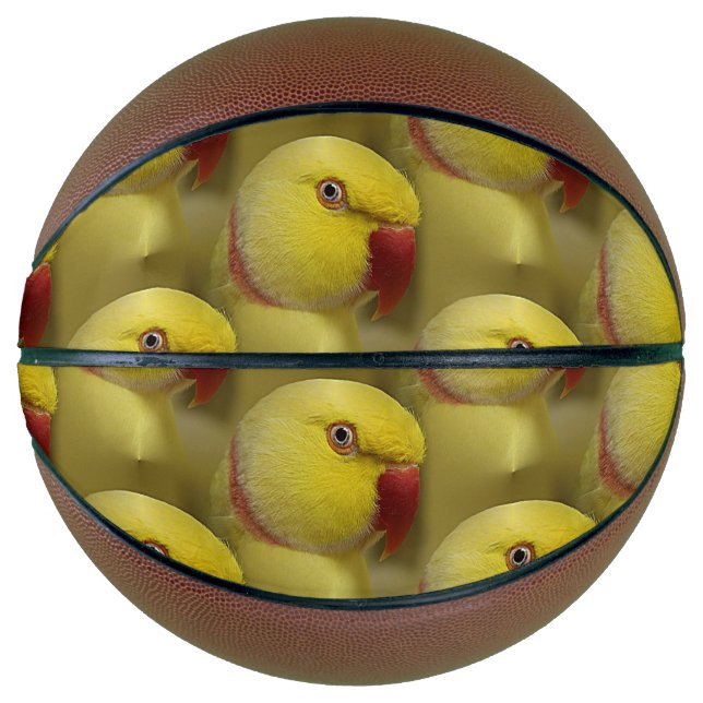 Ballon De Basket Perroquet jaune vif de Lutino Indian Ringneck (Devant)