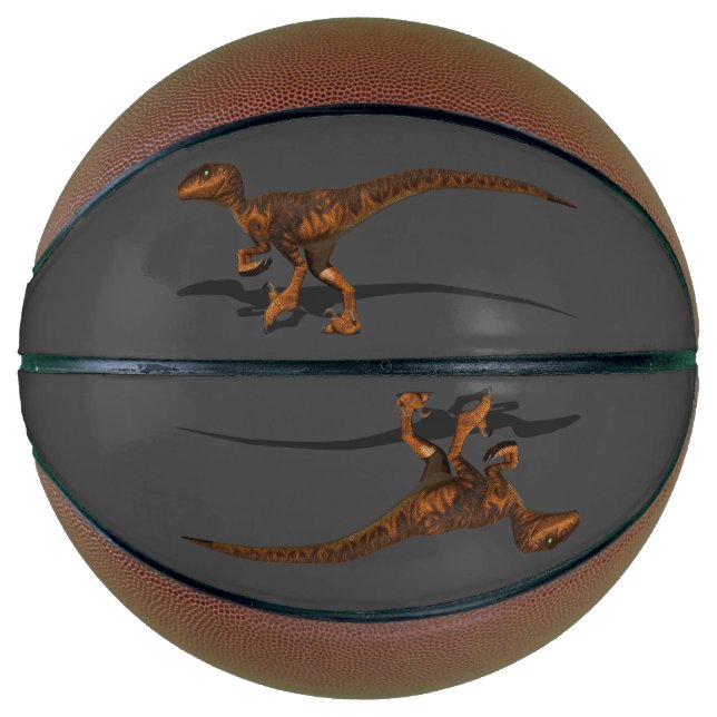 Ballon De Basket Raptor 1 3D (Devant)