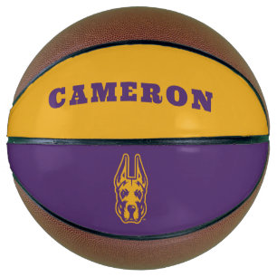 Ballon De Basket Université d'Albany Chef de la mascotte Great Dane