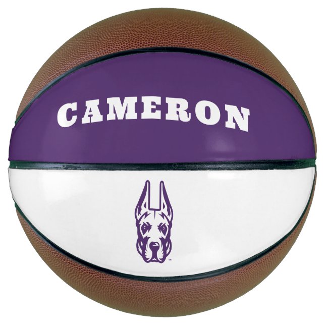 Ballon De Basket Université d'Albany Chef de la mascotte Great Dane (Devant)