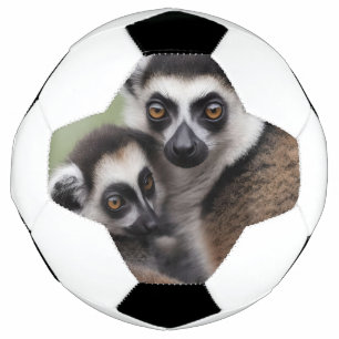 Ballon De Foot **"Amour de la mère : Mummy and Baby Lemur Cuddlin
