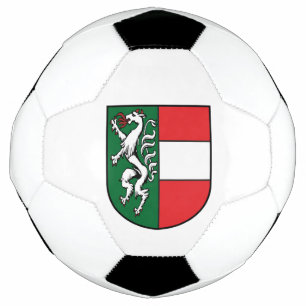 Ballon De Foot Armoiries de la Styrie