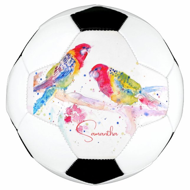 Ballon De Foot Art perroquet Aquarelle Peinture Bleu Rouge Coloré (Devant)