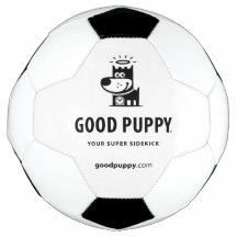BONNE balle de soccer