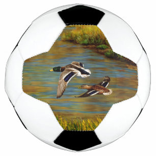 Ballon De Foot Canards-Majards Survolant L'Étang
