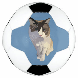 Ballon De Foot Chat Ragdoll, Bleu Poussiéreux