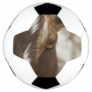 Ballon De Foot Chèvre