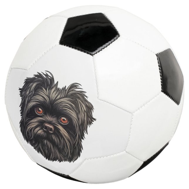 Ballon De Foot Chien noir Affenpinscher (3/4)
