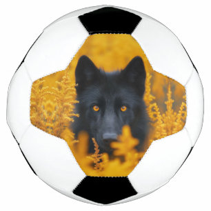 Ballon De Foot Chien noir aux yeux d'or étonnants