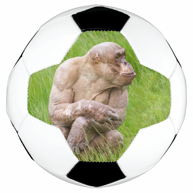 Ballon De Foot Chimpanzé sans cheveux (Devant)