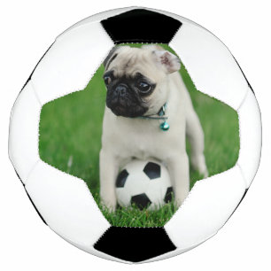 Ballon De Foot Créez Votre Propre Photo de Compagnon à Quatre Pat