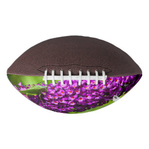 Ballon De Foot énergie de la sauterelle
