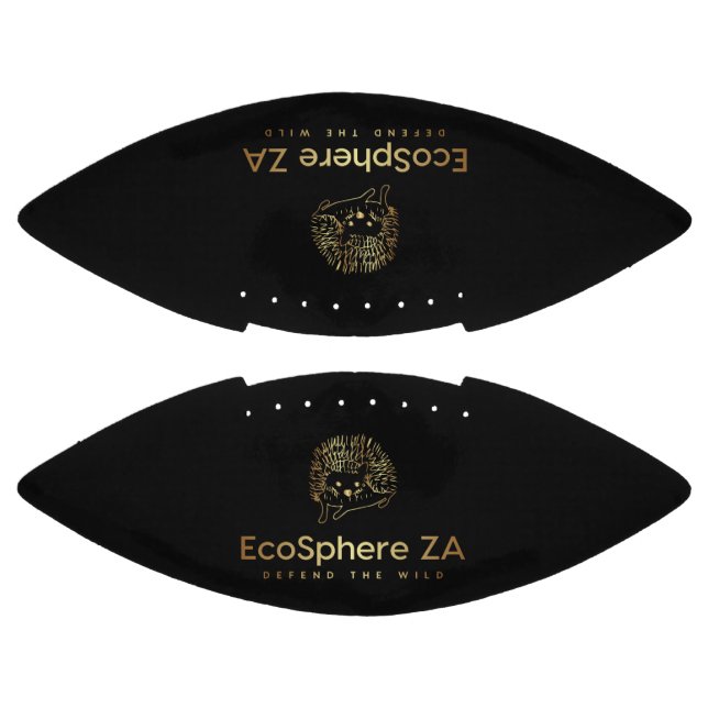 Ballon De Foot Football (Panneaux)