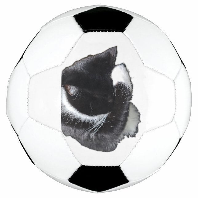 Ballon De Foot I Can't Even Right Meow (Devant)