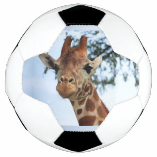 Ballon De Foot Joyeuse Giraffe Close Up Wildlife Safari