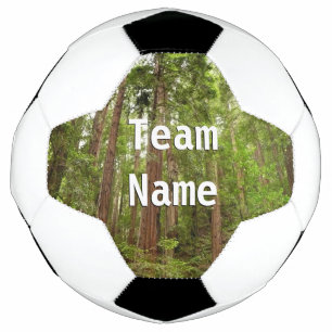 Ballon De Foot Jusqu'à Redwoods I au monument national de Muir Wo