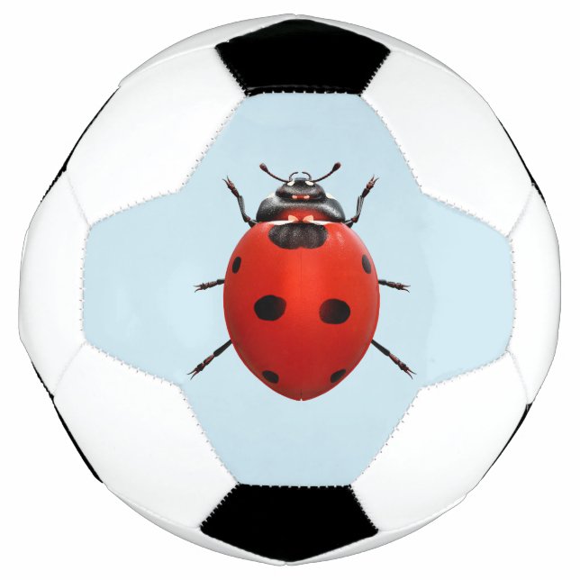 Ballon De Foot Ladybug Chanceuse (Devant)