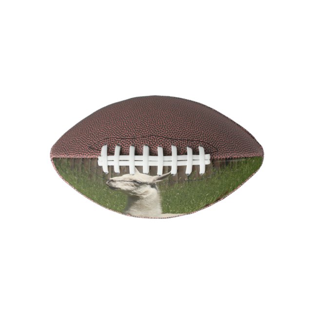 Ballon De Foot Lama blanc (Devant)