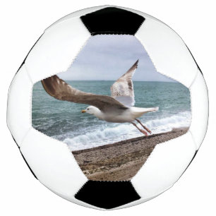 Ballon De Foot Le goëland d'Etretat français
