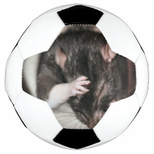 Ballon De Foot Mal de tête !