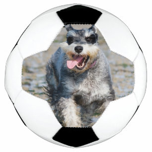 Ballon De Foot mini programmeur