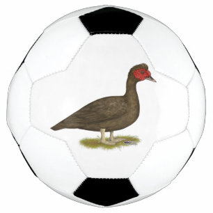 Ballon De Foot Muscovy Drake Chocolat