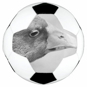 Ballon De Foot Oie BW