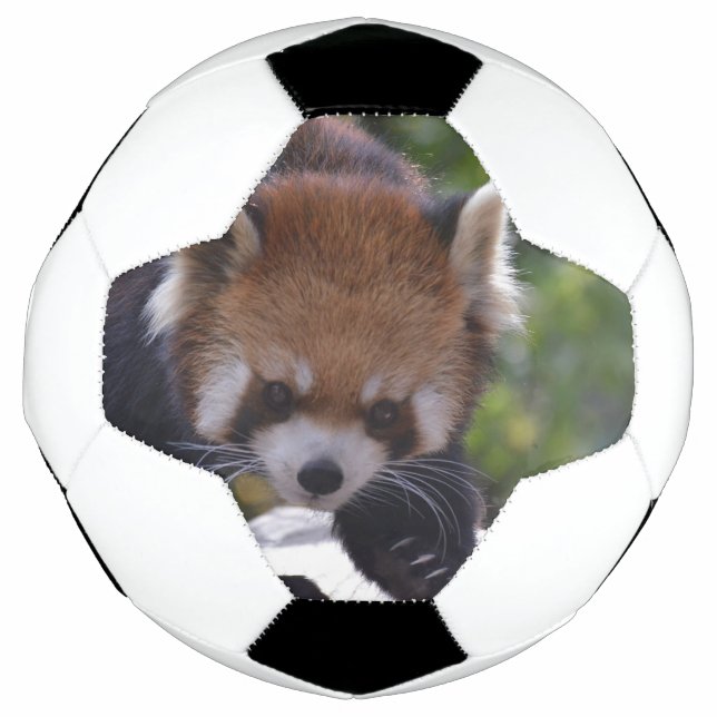 Ballon De Foot Panda rouge à sonde (Devant)