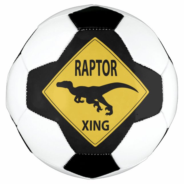 Ballon De Foot Passage de Raptor (Devant)