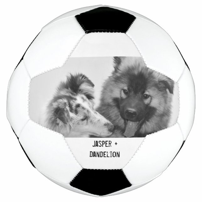 Ballon De Foot Photo simple, moderne personnalisée pour animaux d (Devant)