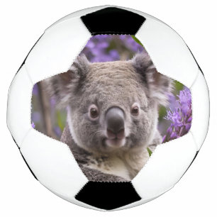 Ballon De Foot Purple Jacaranda Koala Ours,