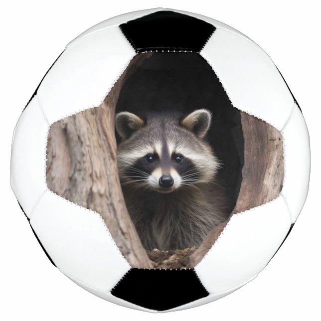 Ballon De Foot Racon dans la grotte des arbres (Devant)