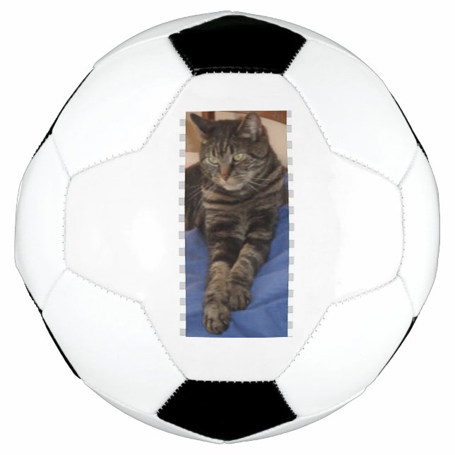 Ballon De Foot Regal Dave Football (Devant)