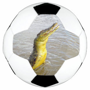 Ballon De Foot Scary Snappers : Le Saut du Crocodile,