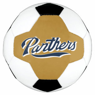 Ballon De Foot Script des panneaux FIU