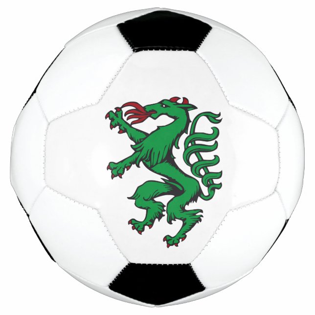 Ballon De Foot Styrie Rot Grün Armoiries Panther Autriche (Devant)