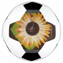 Tournesol photo balle de football