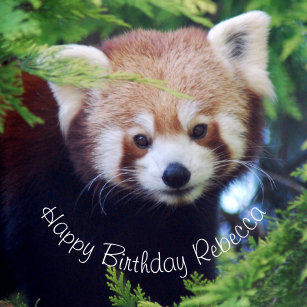 Cadeaux Panda D Anniversaire Zazzle Ca Cadeaux Panda D Anniversaire Zazzle Ca