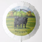 Vache d'Angus noir et veau mou en pâturage d'été