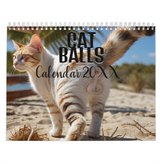 Ballons de chat 2026 drôle Calendrier