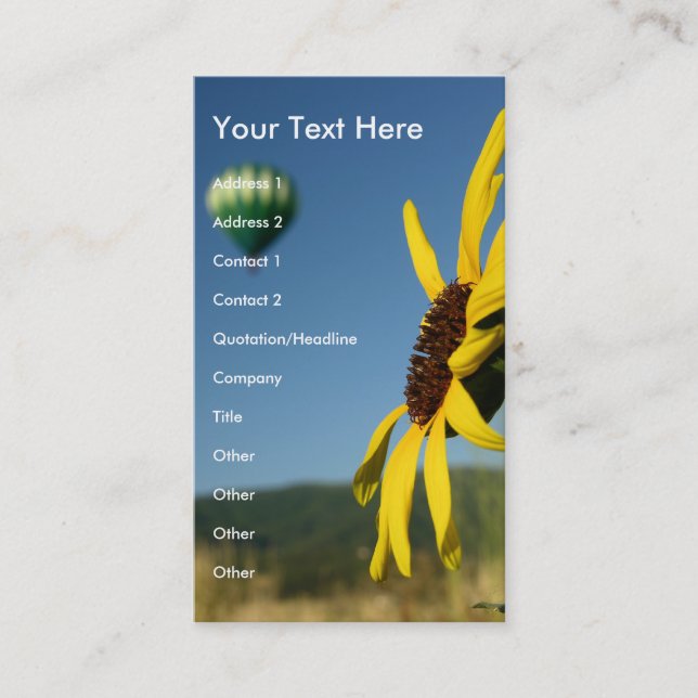 Balloon and Flower Business Card (Front)