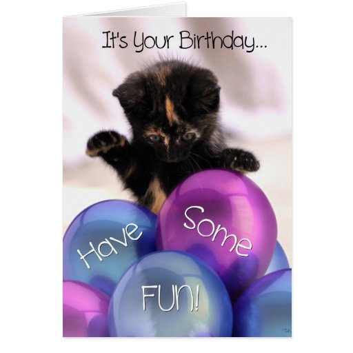 Balloon Birthday: Funny Kitten Birthday Card | Zazzle